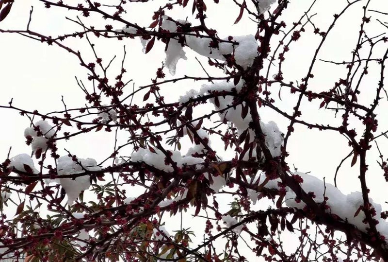 今年是“冷冬”還是“暖冬”?(圖2) 今年是“冷冬”還是“暖冬”?(圖2)